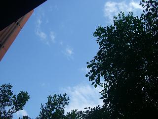 090601e7a9bacimg60291