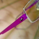 e38281e3818ce381adefbc931