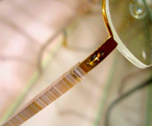 e38281e3818ce381adefbc94