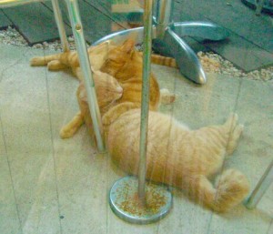 e3818de38283efbd9eefbc88efbc8aefbc9eefbc9cefbc8aefbc89