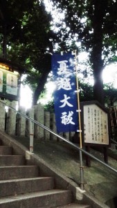 IMG_20150630_151633夏越の祓