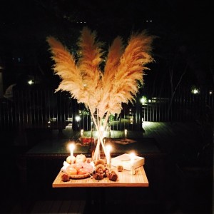 12188820_942374915841304_1604242872_n[2]すすき