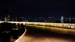 DSC_2813ヒルトン雪の前160123