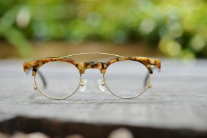 DSC_1784Traction PUMA past