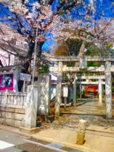 e7868ae9878ee7a59ee7a4be